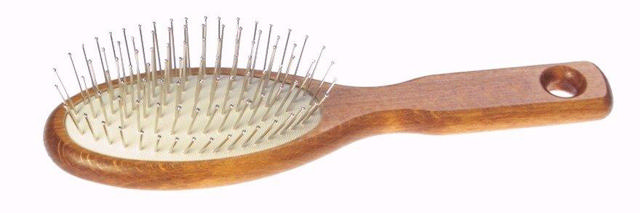 Pneumatic Hairbrush
